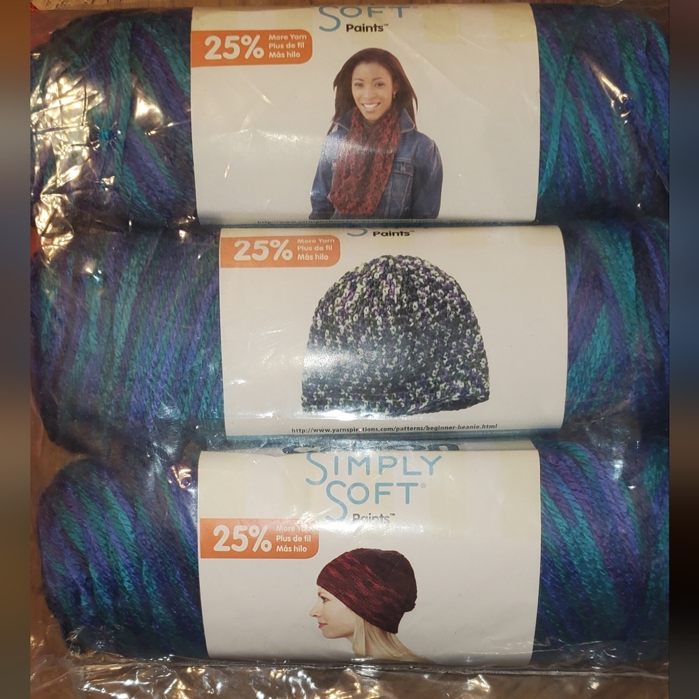 Simply Soft Paints Yarn Oceana in Blue and Purple
